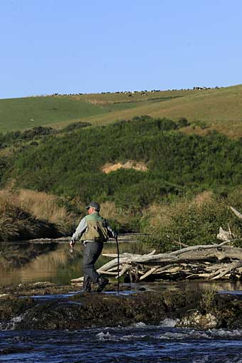 Gore, New Zealand, brown trout capital