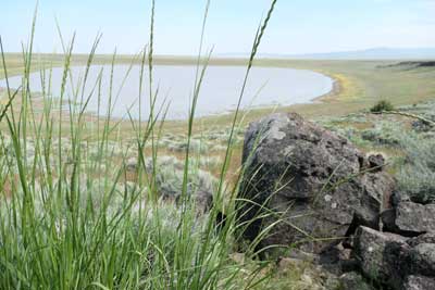 Hart Mountain National Antelope Refuge, Oregon, Petroglyph Lake