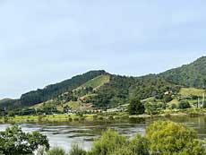 View of hills from New Zealand train