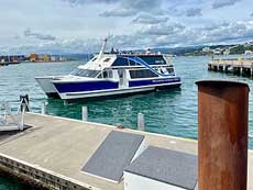 Wellington Ferry