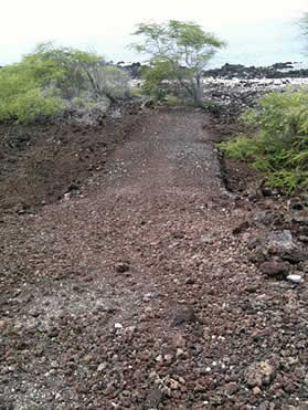 Hawaiian land sledding course