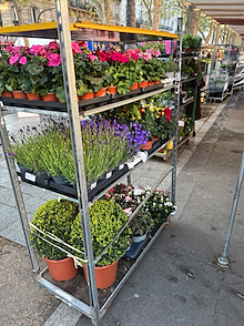 Paris Marche Bastille flower stall