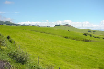 Kohala Mountain, Hawaii