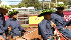 Lei hatbands