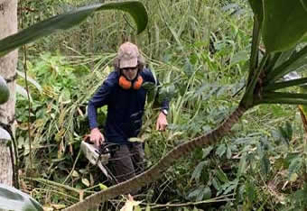 Andy pruning bushes and trees