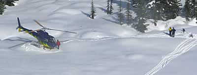 heliski-banner