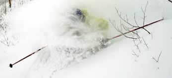 Powder skier