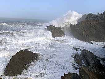 Shore Acres shoreline, Bandon, Oregon