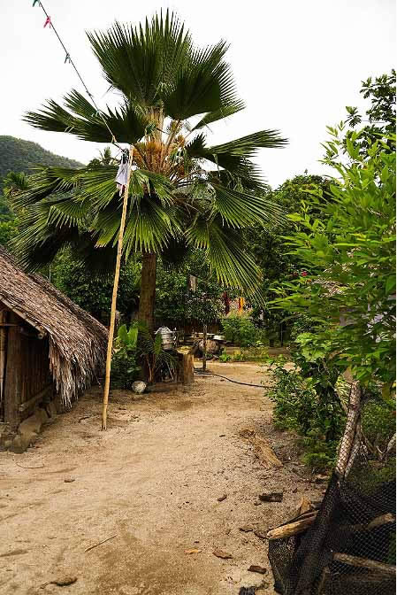 Ureparapara village road