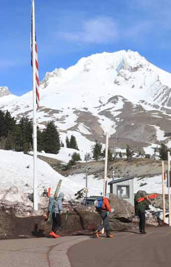 Timberline backcountry skier