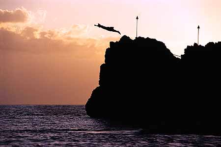 Maui cliff diver