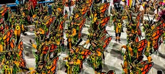 Rio Carnaval butterfly fantasies
