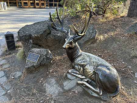 High Desert Museum buck statue