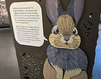 High Desert Museum soil alive exhibit